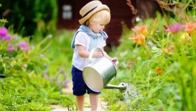 قصه ای برای توسعه مسئولیت پذیری کودک